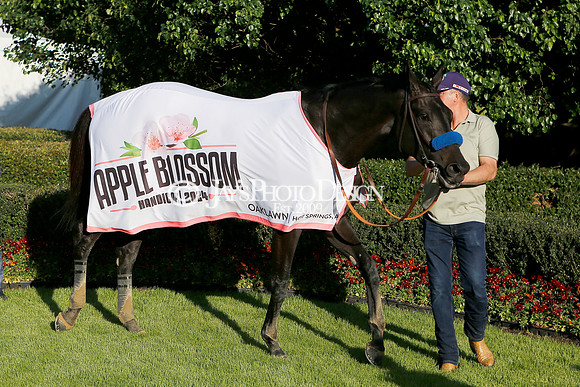 z240413_Apple Blossom Handicap_JWM_0024