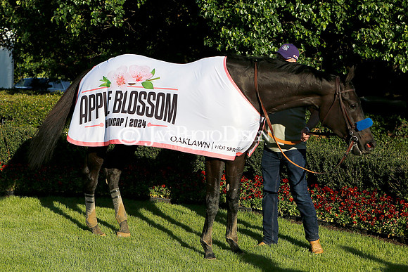 z240413_Apple Blossom Handicap_JWM_0029