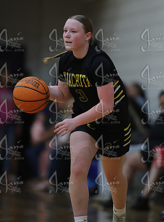 Evolution vs. EXT Typhoon (AAU High School Girls Basketball) 4-26-25_JWM_0617