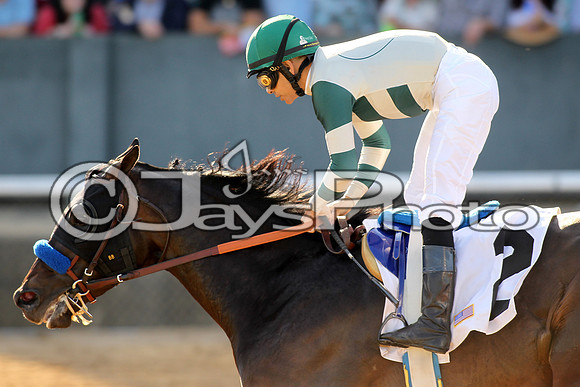 JWM_170318_EssexStakes_00422
