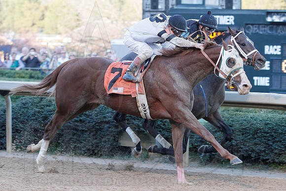 Rebel Stakes 3-16-13 JWM0211 (©Justin Manning)