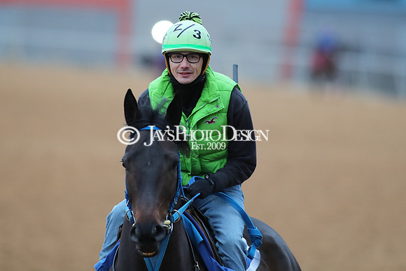 z250104_SmartyJonesStakesDay _JWM_0005