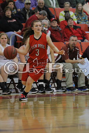 Glen Rose vs. Perryville Girls 3A District Tournament 2-20-2015 (©Justin Manning) JWM_065