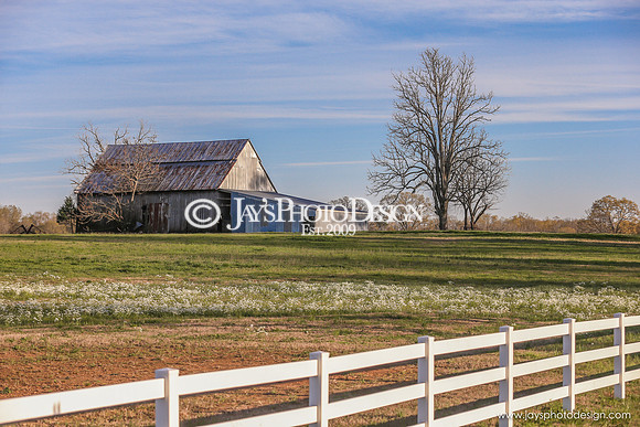 Barns 3-25-20_0053