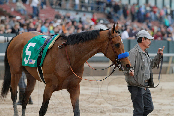 Rebel Stakes 3-15-14 3-15-2014 (© Justin Manning) JWM_0332