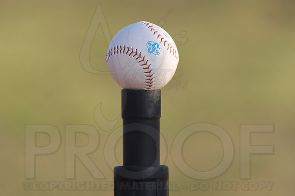 White Sox vs Angels 4-22-13 (©Justin Manning) JWM0199