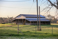 Barns 3-25-20_0096