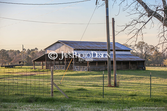 Barns 3-25-20_0096