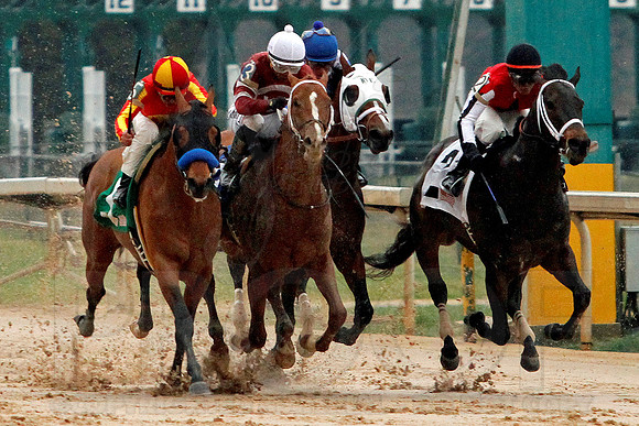 Rebel Stakes 3-15-14 3-15-2014 (© Justin Manning) JWM_0219-2