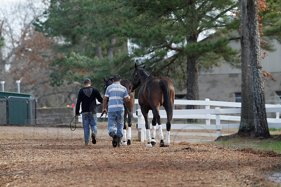 Oaklawn 1-11-13 (Justin Manning)0042