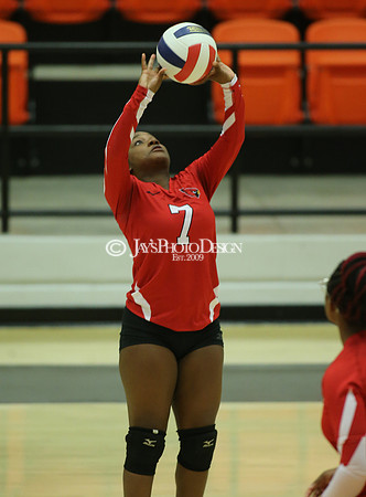 Camden Fairview @ Malvern JV_JWM_0130