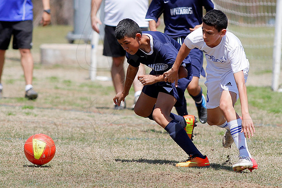 Burns Park Soccer 4-6-13(© Justin Manning) JWM0252