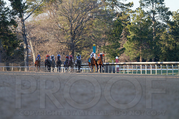 Oaklawn 1-21-13 (Smarty Jones Stakes) (Justin Manning)0214