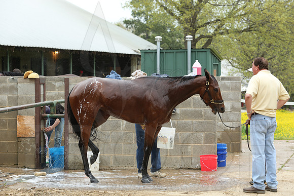 Arkansas Derby 4-11-2014 (© Justin Manning) JWM_0144