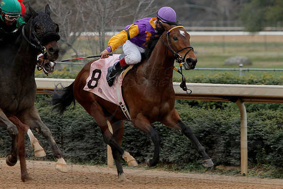 Oaklawn 8th Race 3-9-13 JWM0023 (©Justin Manning)