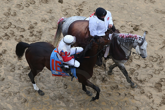 139th Running of the Kentucky Derby 2013 5-4-13 (© Justin Manning) JWM0565