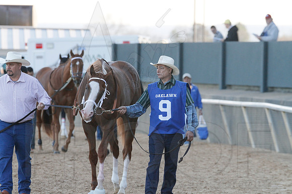 Oaklawn 1-21-13 (Smarty Jones Stakes) (Justin Manning)0061