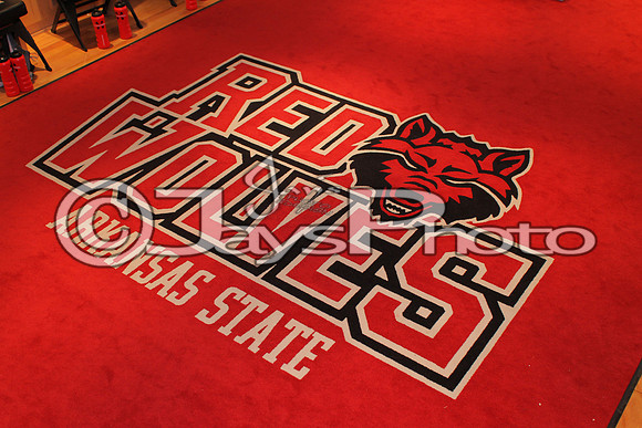 ULM @ Arkansas State Womans Basketball 2-21-2015 (©Justin Manning) JWM_050