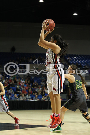 Nemo Vista vs. Wonderview 1A Girls State Finals 3-12-2015 (©Justin Manning) JWM_176