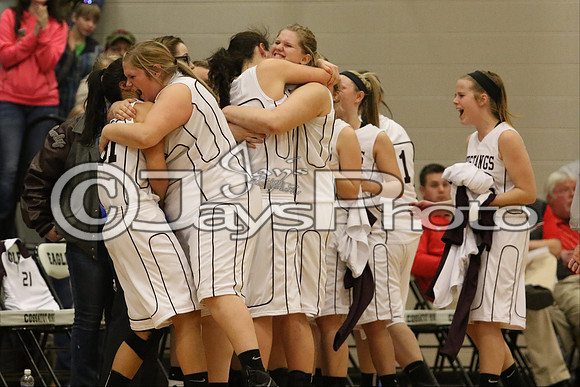 Lamar vs. Perryville Girls 3A State 3-6-2015 (©Justin Manning) JWM_199