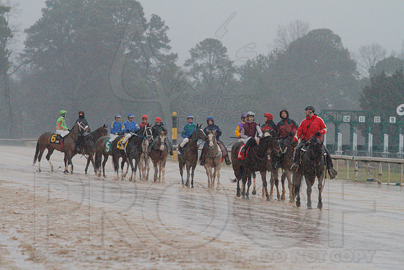 Dixie Belle Stakes 1-10-14 (©Justin Manning) JWM_0021