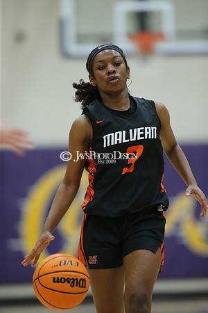 Malvern @ Fountain Lake 1-26-21_JWM_0352