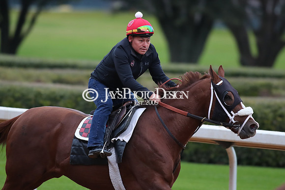 z250104_SmartyJonesStakesDay _JWM_0038
