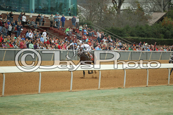 Southwest Stakes (GradeIII) 2-20-17_JWM00913