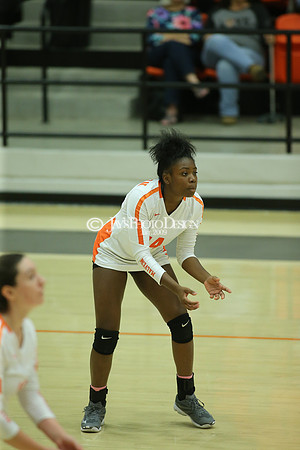 Camden Fairview @ Malvern JV_JWM_0402