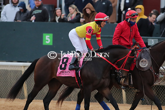 z250104_SmartyJonesStakes _JWM_0909