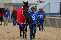 Oaklawn Smarty Jones Stakes 1-18-2016 (©Justin Manning) JWM_(0046