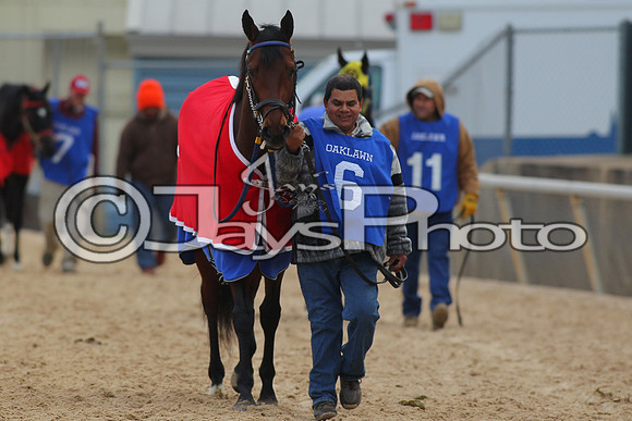 Oaklawn Smarty Jones Stakes 1-18-2016 (©Justin Manning) JWM_(0046