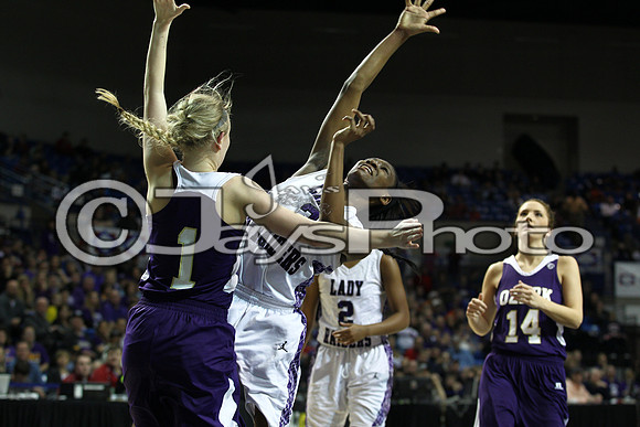 Riverview vs. Ozark 4A Girls State Finals 3-13-2015 (©Justin Manning) JWM_511
