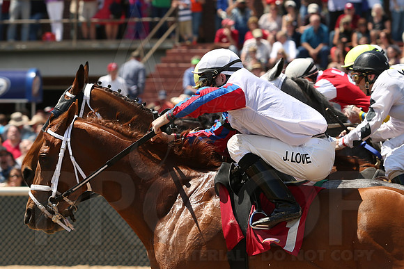 Arkansas Derby 4-12-2014 (© Justin Manning) JWM_0371
