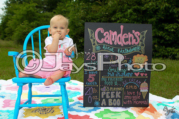 Camden's 1st Birthday pictures_0315