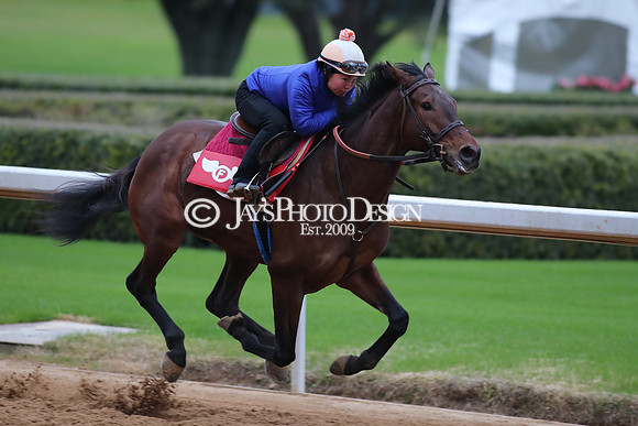 z250104_SmartyJonesStakesDay _JWM_0027