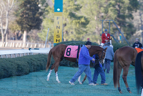Oaklawn 1-21-13 (Smarty Jones Stakes) (Justin Manning)0123