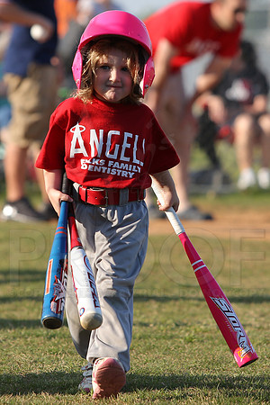 White Sox vs Angels 4-22-13 (©Justin Manning) JWM0057