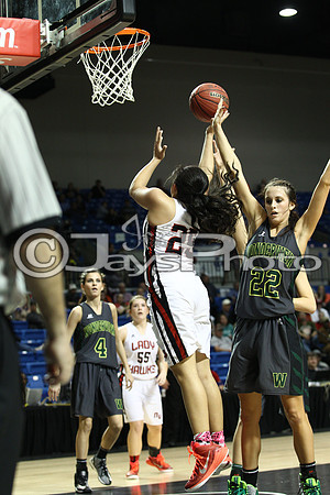 Nemo Vista vs. Wonderview 1A Girls State Finals 3-12-2015 (©Justin Manning) JWM_254
