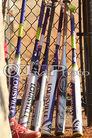 Harmony Grove @ Malvern softball_JWM_0091