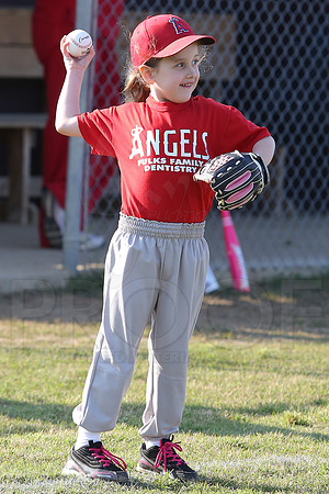 White Sox vs Angels 4-22-13 (©Justin Manning) JWM0016