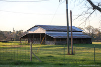 Barns 3-25-20_0100