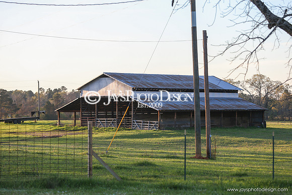 Barns 3-25-20_0100
