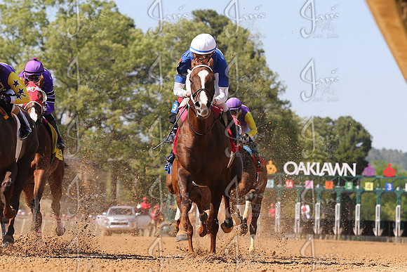 z250412_AppleBlossomDay_JWM_0667
