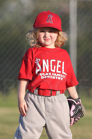 White Sox vs Angels 4-22-13 (©Justin Manning) JWM0193