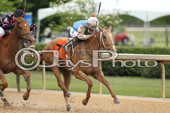 Oaklawn_0263