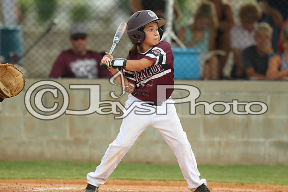 Benton vs. Clark County 6-27-16_JWM_0304