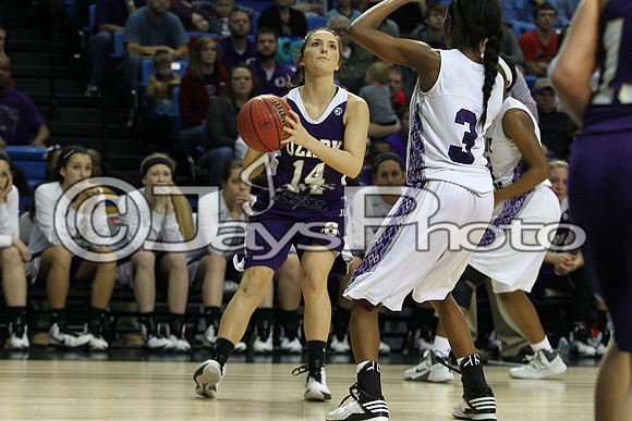 Riverview vs. Ozark 4A Girls State Finals 3-13-2015 (©Justin Manning) JWM_540