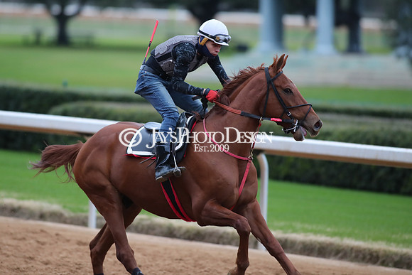 z250104_SmartyJonesStakesDay _JWM_0054