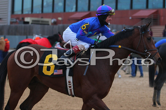 Oaklawn Smarty Jones Stakes 1-18-2016 (©Justin Manning) JWM_(0517